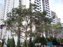 Blk 284 Toh Guan Road (Jurong East), HDB 5 Rooms #168932